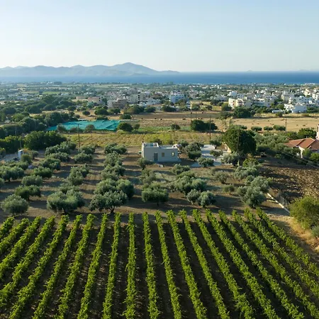 Ampeli Residences-sea View-private Pool Διαμέρισμα